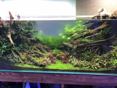 layout – AQUA GALLERY GINZA